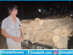 Pelaku Ilegal Logging di Sumenep Tertangkap Basah