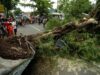 warga mengamati pohon tumbang yang menutupi jalan kapten ismail 190122190644 764
