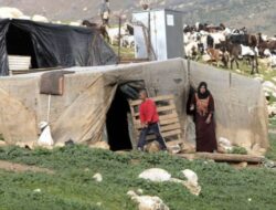 13 Keluarga Palestina Diusir Pasukan Israel