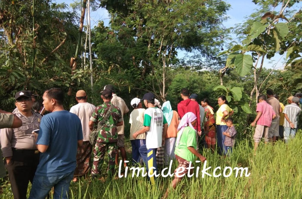 Ditemukan Tak Bernyawa di Pinggiran Sawah, Mayat Nenek Ini Gegerkan Warga