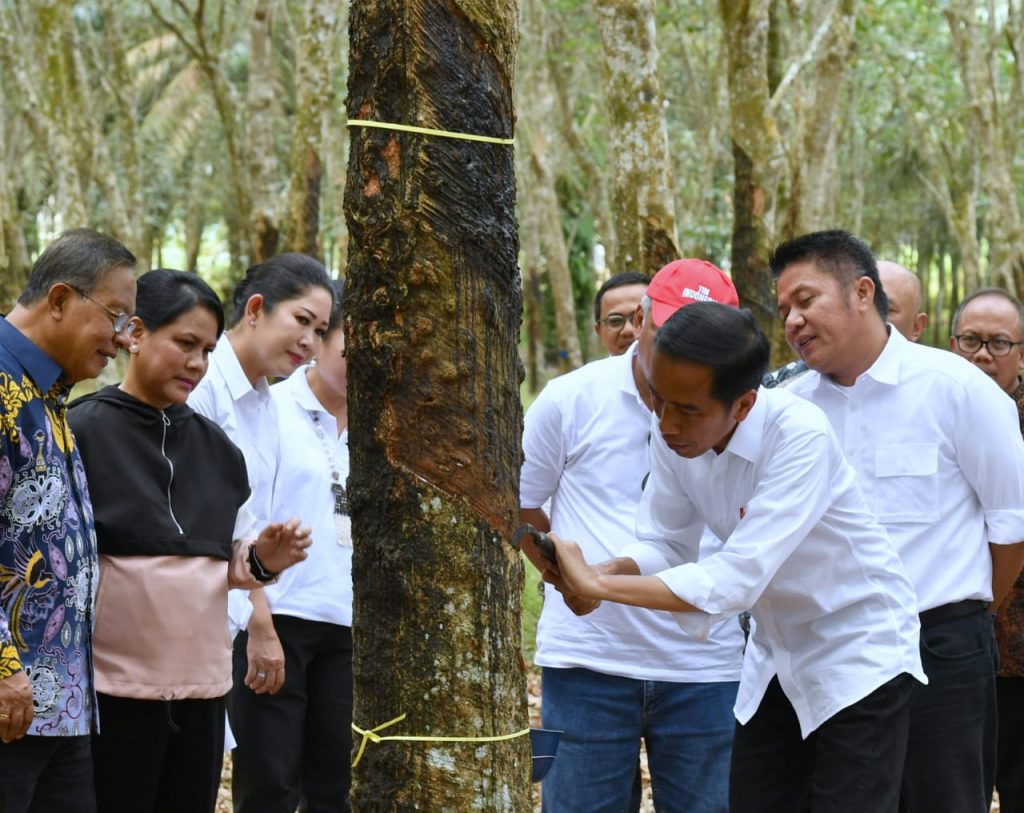 Acara Silaturahmi Petani Karet, Jokowi Sampaikan Posisi Ekonomi Dunia Belum Naik