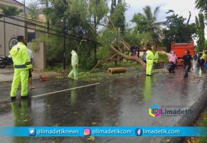 Hujan dan Angin Kencang Landa Sumenep, Seorang Warga Tertimpa Pohon