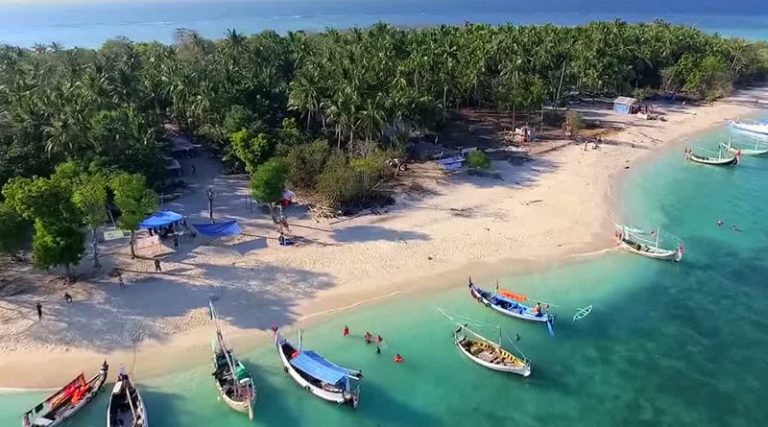 Sejumlah Event Visit Sumenep Terancam Gagal Digelar 7 awesome peacock logo design vector illustration 93835 240 copy