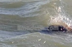 Tenggelam di Perairan Sumenep, 9 Orang Masih Belum Ditemukan