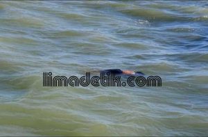 Korban Meninggal Tenggelam Perahu Motor Arin Jaya Bertambah