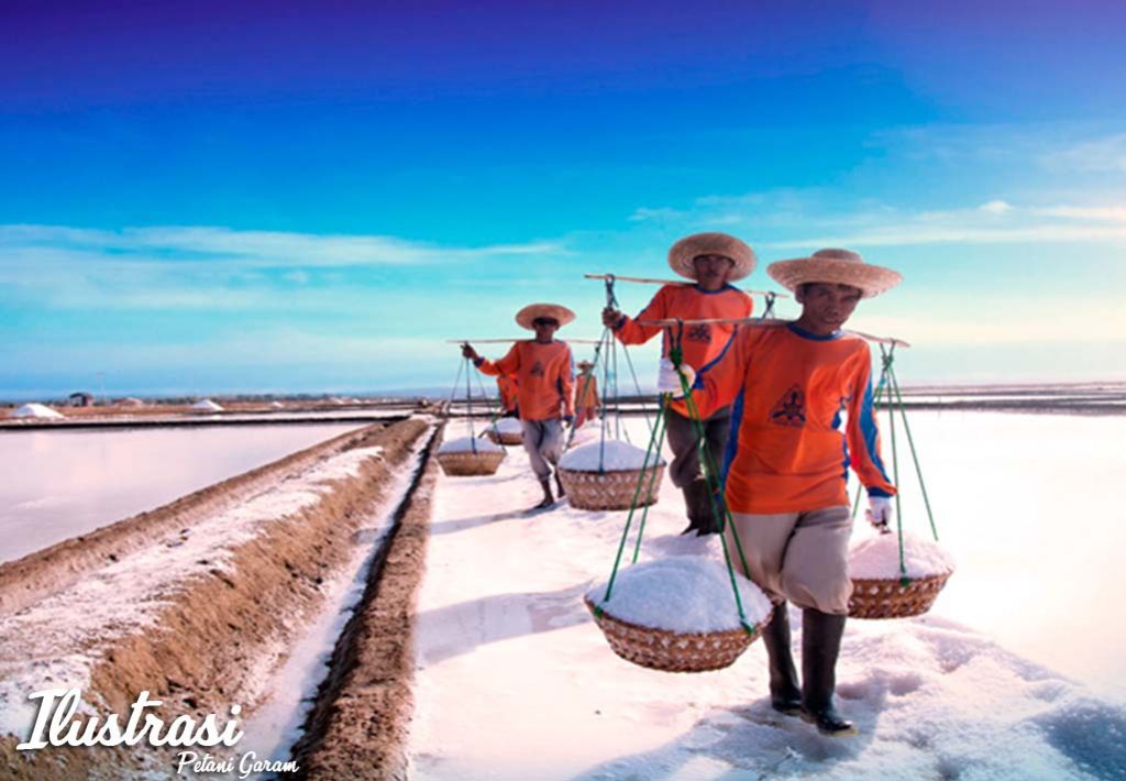 Harga Garam Rakyat di Sumenep Anjlok, Petani Menjerit