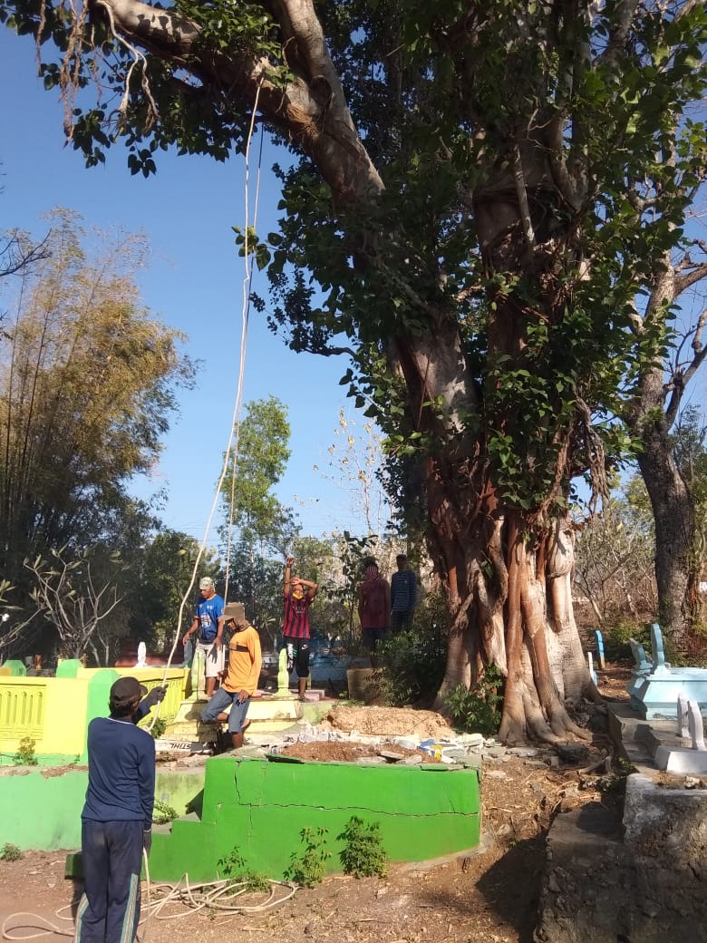 Warga Tebang Pohon Berusia Ratusan Tahun 2 IMG 20190825 WA0051