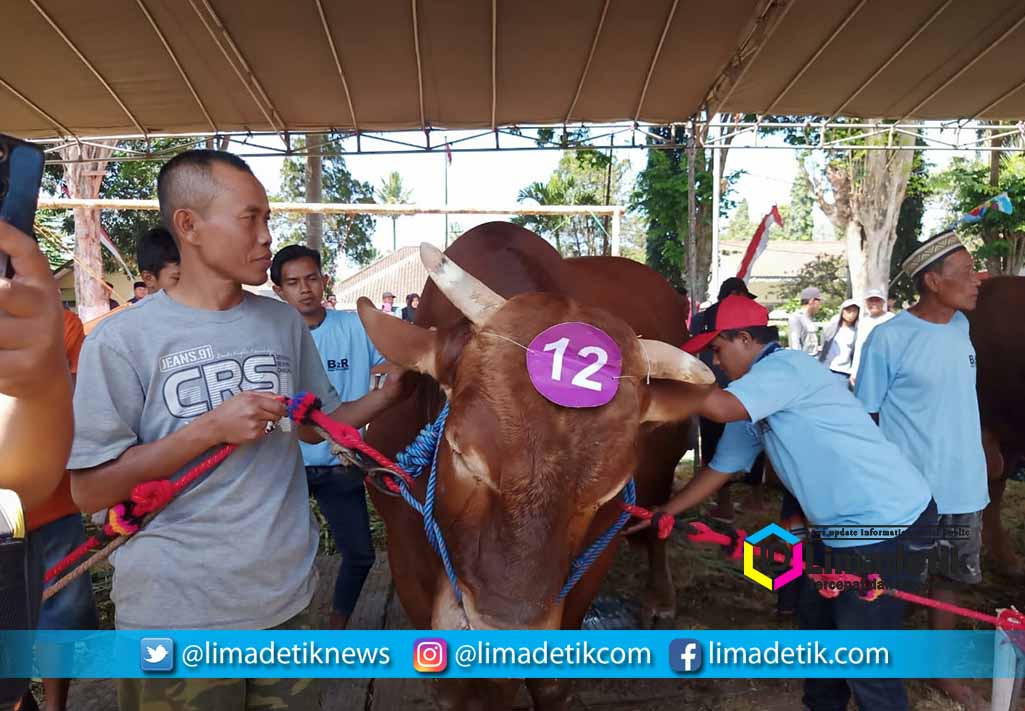IMG 20190905 WA0071