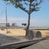 IMG 20190927 WA0093