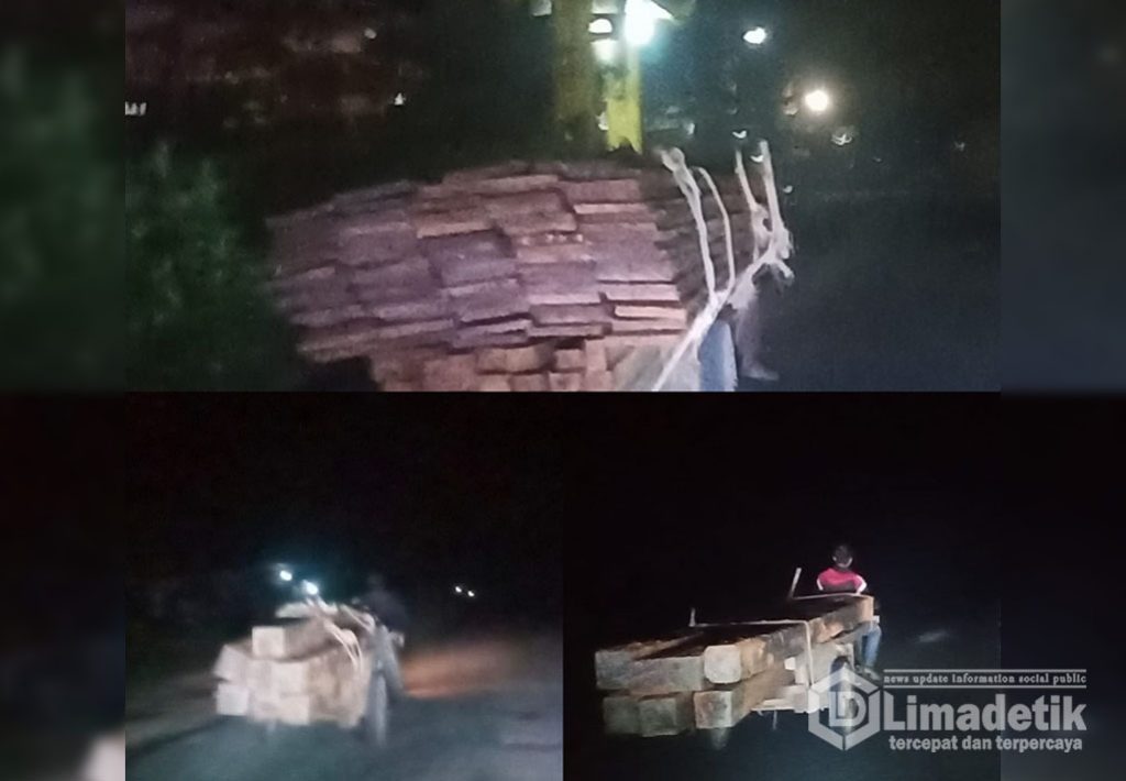 Diduga Ilegal Logging Kembali Marak di Bagan Siapiapi Kabupaten Rohil Dini Hari