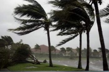 Angin Kencang Melanda Batu Malang, 1 Orang Meninggal Dunia dan Beberapa Orang Luka-Luka