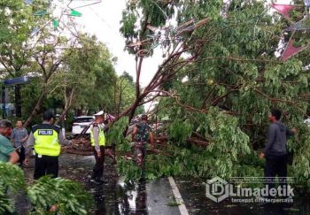Pohon Tumbang Ganggu Lalu Lintas, Prajurit TNI-AD di Lamongan Turun Tangan