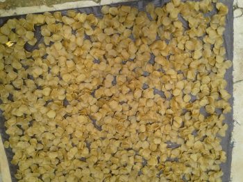 Resep Kerupuk ikan S. Yohana dari Paberasan Sumenep