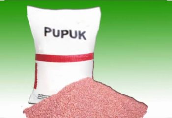 Dispertahortbun Klaim Persediaan Pupuk Bersubsidi di Sumenep Aman