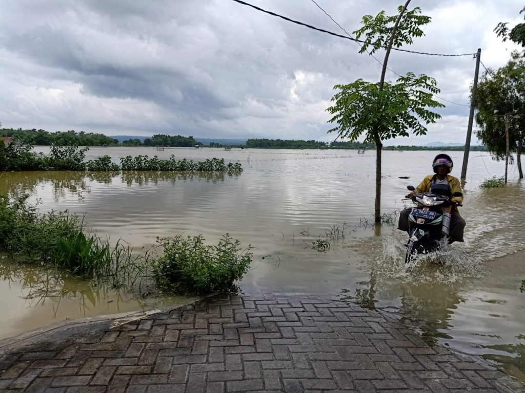 Puluhan Hektar Padi di Sumenep Terancam Gagal Panen