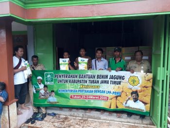 Wujudkan Produktifitas Petani Jagung, Kementan – LPP PBNU Serahkan Bantuan Benih 4 Wujudkan Produktifitas Petani Jagung, Kementan – LPP PBNU Serahkan Bantuan Benih