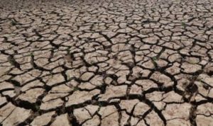 10 Kecamatan di Sumenep Diprediksi Alami Kekeringan