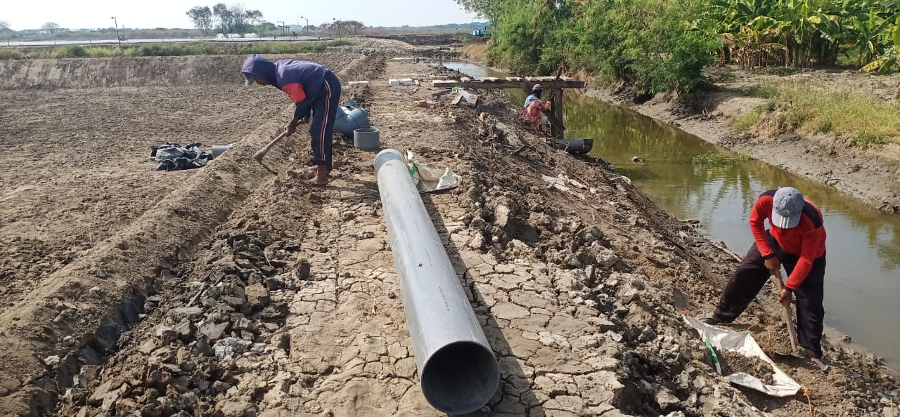 26 Perluas Program Ketahanan Pangan Koarmada II Siap Buka Lahan Tambak Baru.1