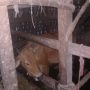 IMG 20200710 WA0029