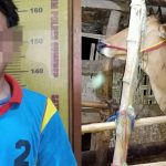 Diduga Curi Sapi, Pemuda 21 Tahun Dibekuk Polisi