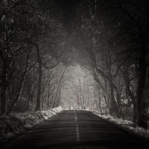 Puisi: Cinta yang Lain