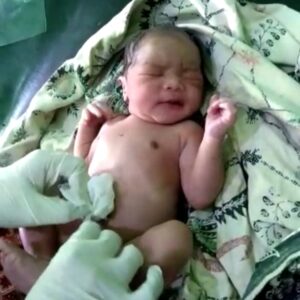 Bayi Dalam Kardus Ditemukan di Tengah Sawah