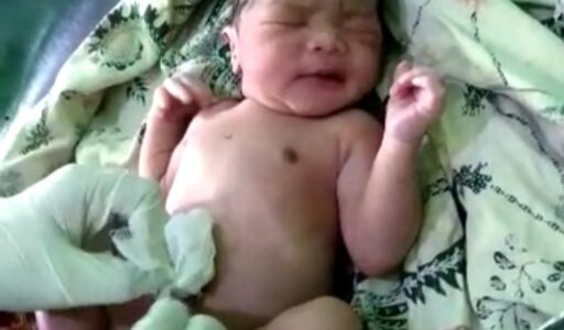 Bayi Dalam Kardus Ditemukan di Tengah Sawah