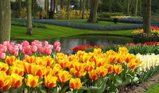 Puisi: Semusim Berlalu