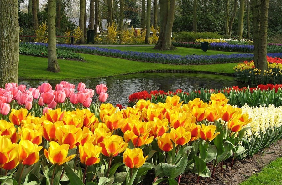 keukenhof