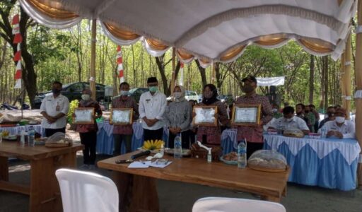Bupati Ngawi Apresiasi Pengrajin Akar Kayu Jati di Dua Kecamatan