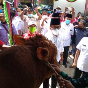 Buka Bazar Qurban, Bupati dan Wabup Pamekasan Beli Sapi Berat 1 Ton 1 Buka Bazar Qurban, Bupati dan Wabup Pamekasan Beli Sapi Berat 1 Ton