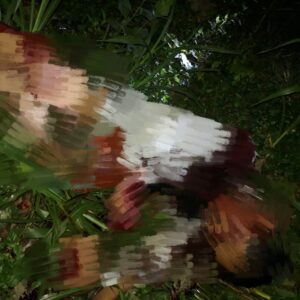 Luka Robek di Sekujur Tubuh, Korban Pembunuhan Belum Diketahui Identitasnya