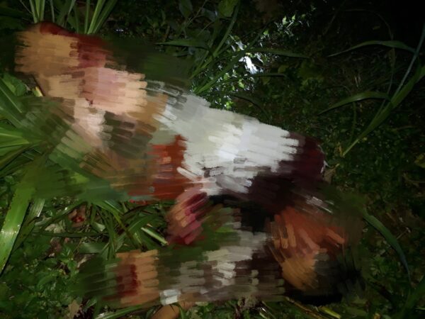 IMG 20201113 092339 e1605234301727