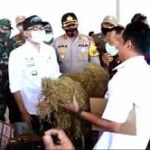 sidak gudang bupati