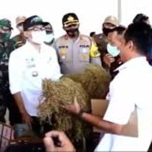 Sidak Dua Gudang Tembakau, Bupati Pamekasan Temukan Harga di Atas BEP