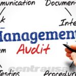 audit manajemen