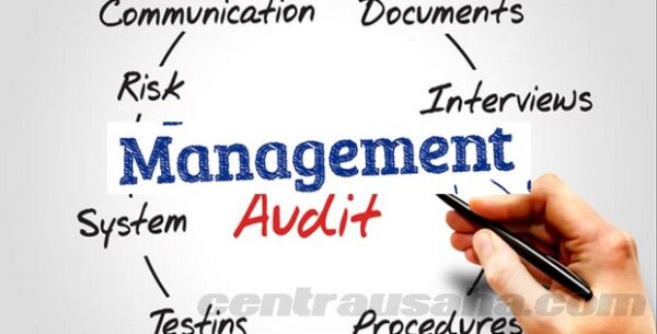 audit manajemen e1611304686518