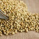 coriander 166990 1280 511d4e0514ab9277f506ee3d80c2f87d