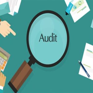 Peran Audit Pemasaran Dalam Mencapai Tujuan Perusahaan