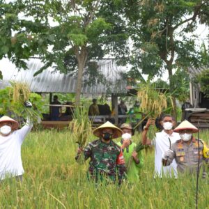 Walikota Surabaya Hadir di Acara Panen Raya Warga Pakal