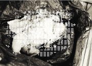 Bayi Laki-Laki Ditemukan Tewas di Pinggir Jalan, Polisi Buru Pelaku Pembuangan