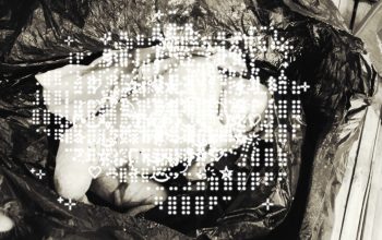 Bayi Laki-Laki Ditemukan Tewas di Pinggir Jalan, Polisi Buru Pelaku Pembuangan