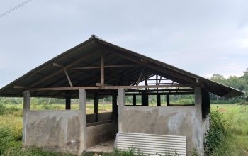 Kandang Budidaya Sapi di Rajun Tak Berfungsi, Warga Soroti Pengelolaan Dana Desa