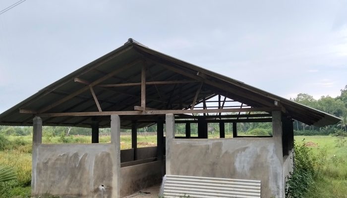 Kandang Budidaya Sapi di Rajun Tak Berfungsi, Warga Soroti Pengelolaan Dana Desa