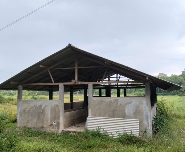 Kandang Budidaya Sapi di Rajun Tak Berfungsi, Warga Soroti Pengelolaan Dana Desa