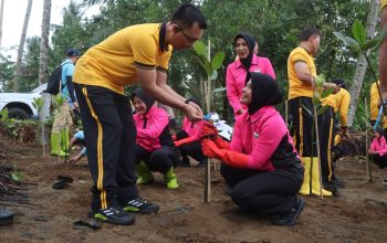 Tanam Ratusan Bibit Mangrove, Kapolres Trenggalek : Cegah Abrasi, Dorong Ekonomi Lokal