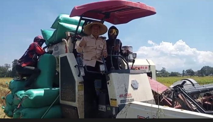 Plt Bupati Tulungagung Hadiri Tasyakuran Panen Raya di Desa Kepuh Boyolangu
