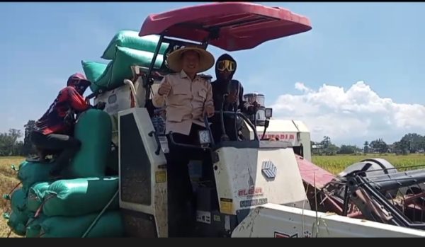 Plt Bupati Tulungagung Hadiri Tasyakuran Panen Raya di Desa Kepuh Boyolangu