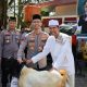 Hari Raya Idul Adha 1447 H, Polres Trenggalek Distribusikan 3 Ekor Sapi dan 33 Ekor Kambing