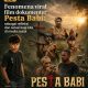 Fenomena Viral Film Dokumenter Pesta Babi: Sebagai Refleksi dan Solusi bagi Kita di Media Sosial
